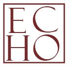 echo mini logo9