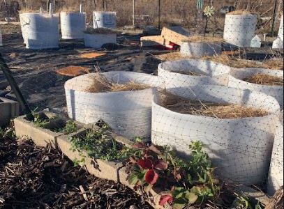 Rolla community making it easier to begin composting