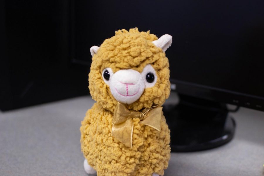 Lab Llama