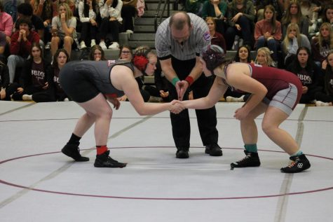 Wrestling Assembly Photo Gallery