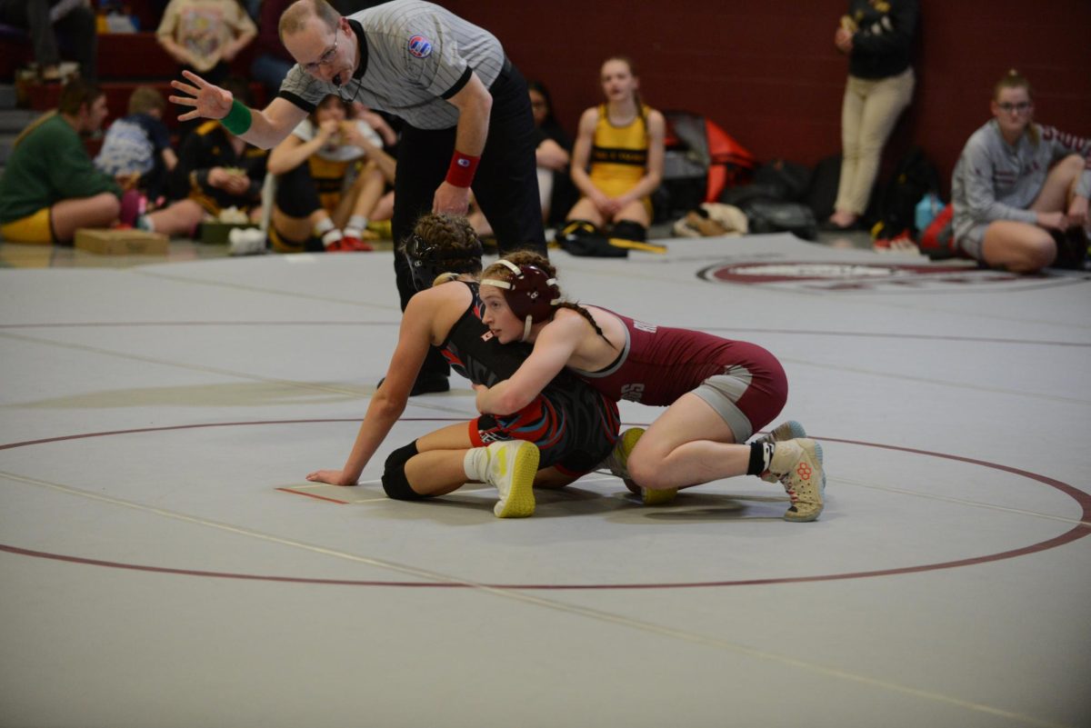 Four female wrestlers go to state