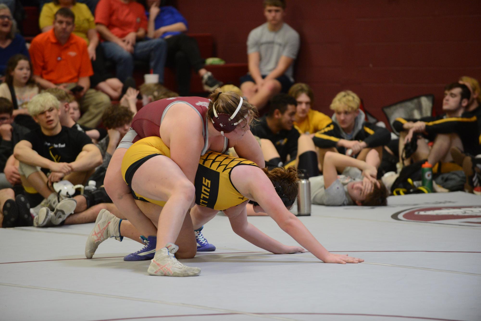 Four female wrestlers go to state