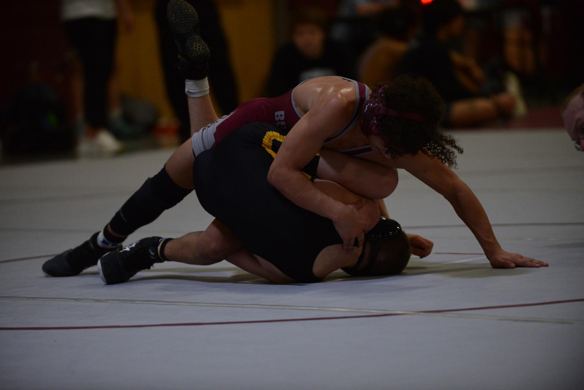 Four female wrestlers go to state