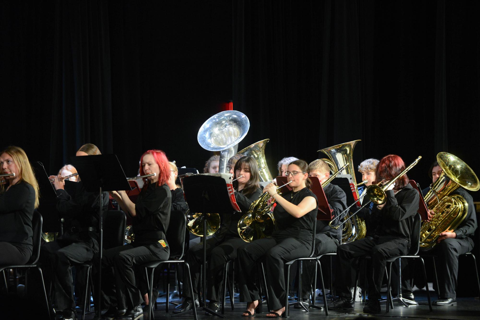 Photo Gallery: Spring Band Concert
