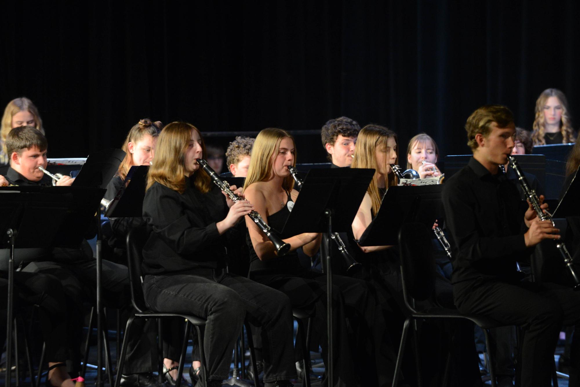 Photo Gallery: Spring Band Concert