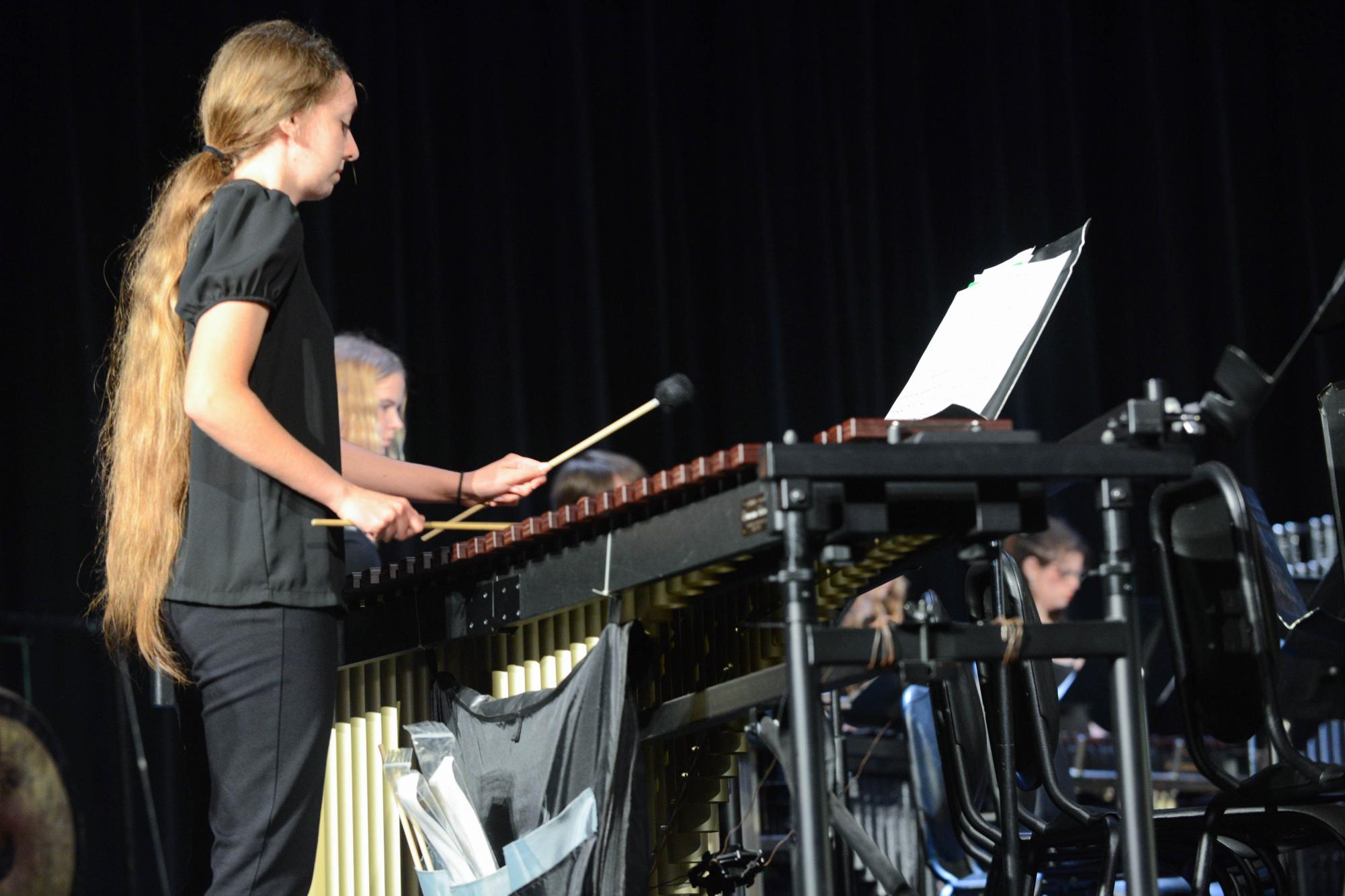 Photo Gallery: Spring Band Concert