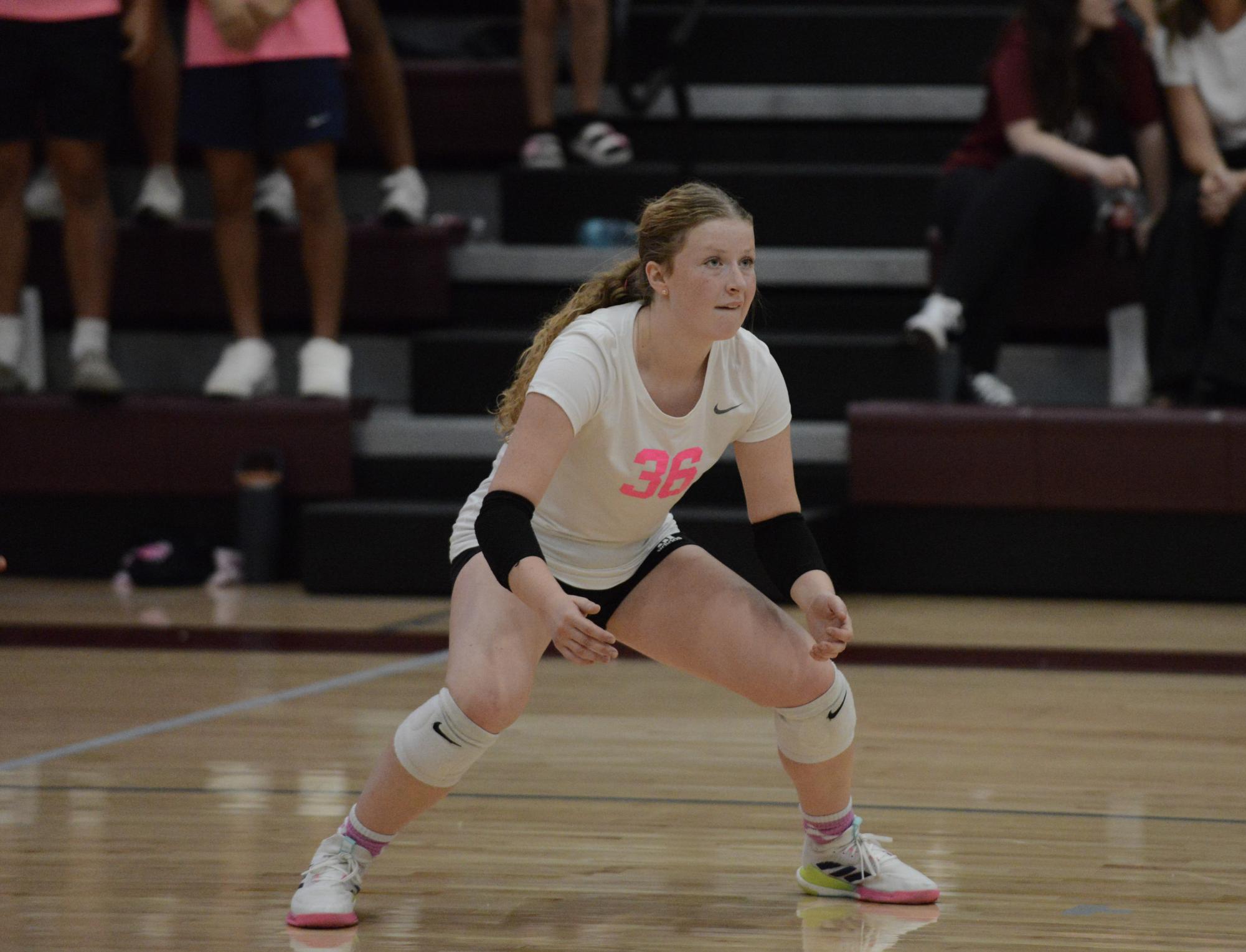 Volleyball: Senior Night v. Jefferson City photo gallery