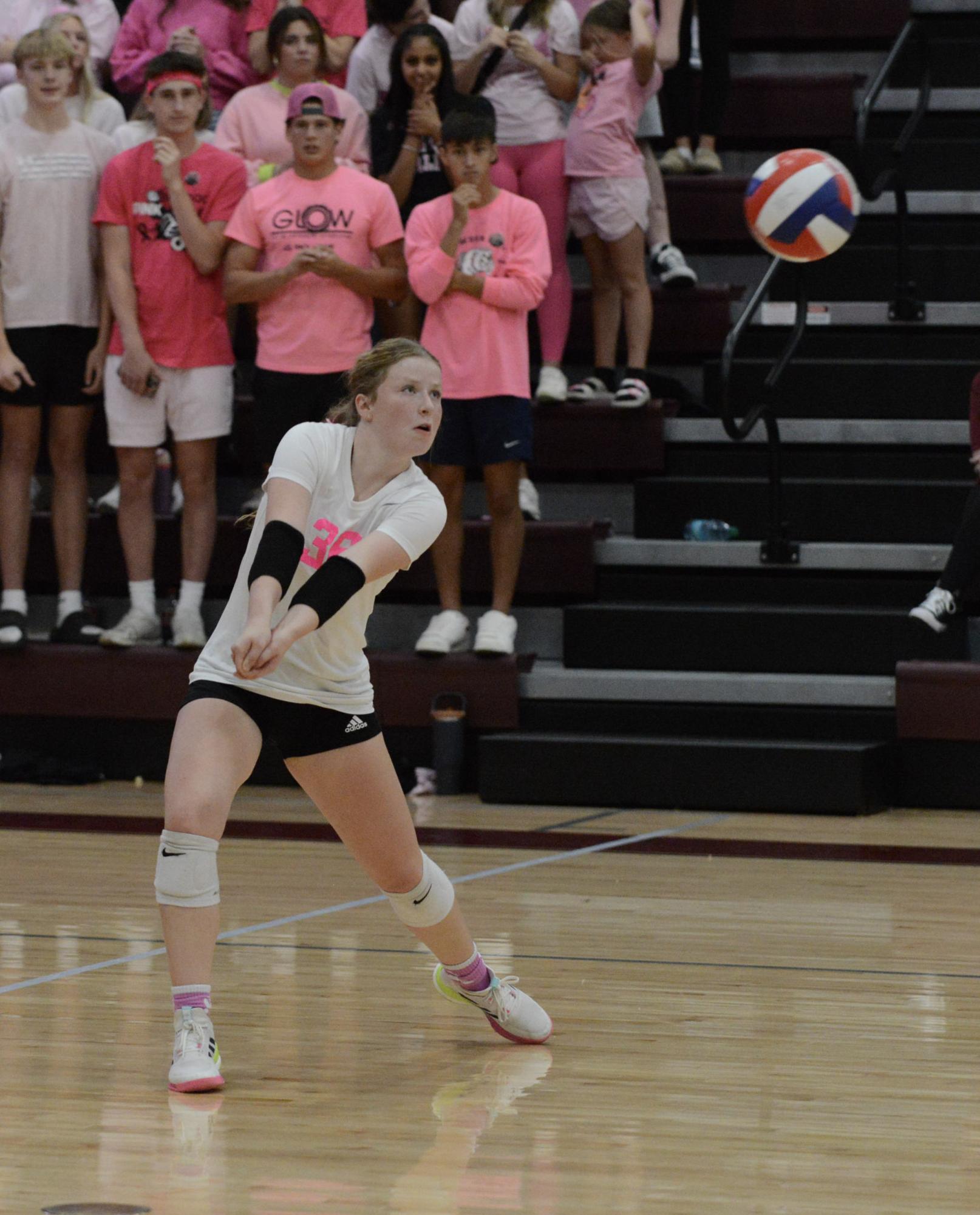 Volleyball: Senior Night v. Jefferson City photo gallery