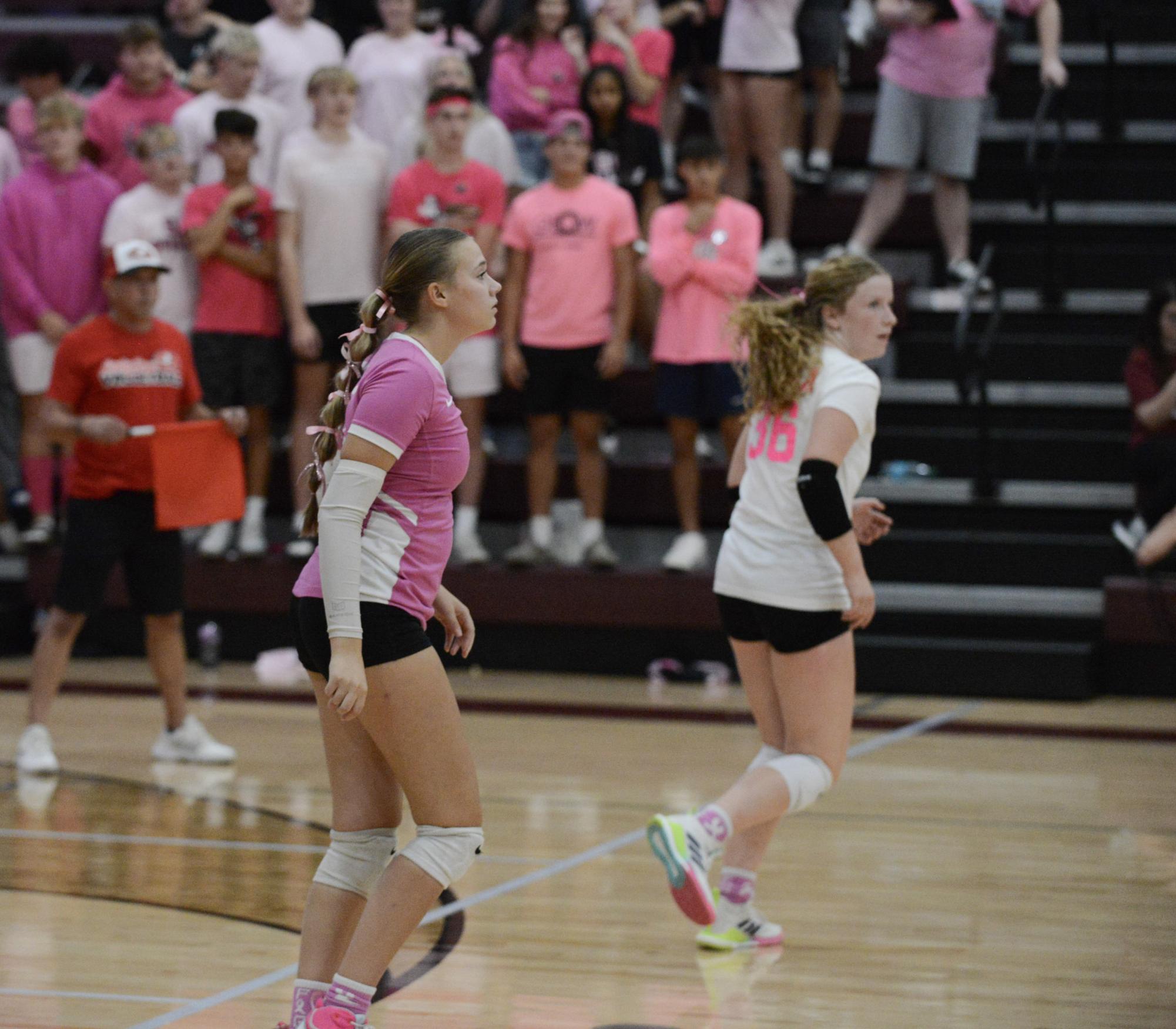 Volleyball: Senior Night v. Jefferson City photo gallery