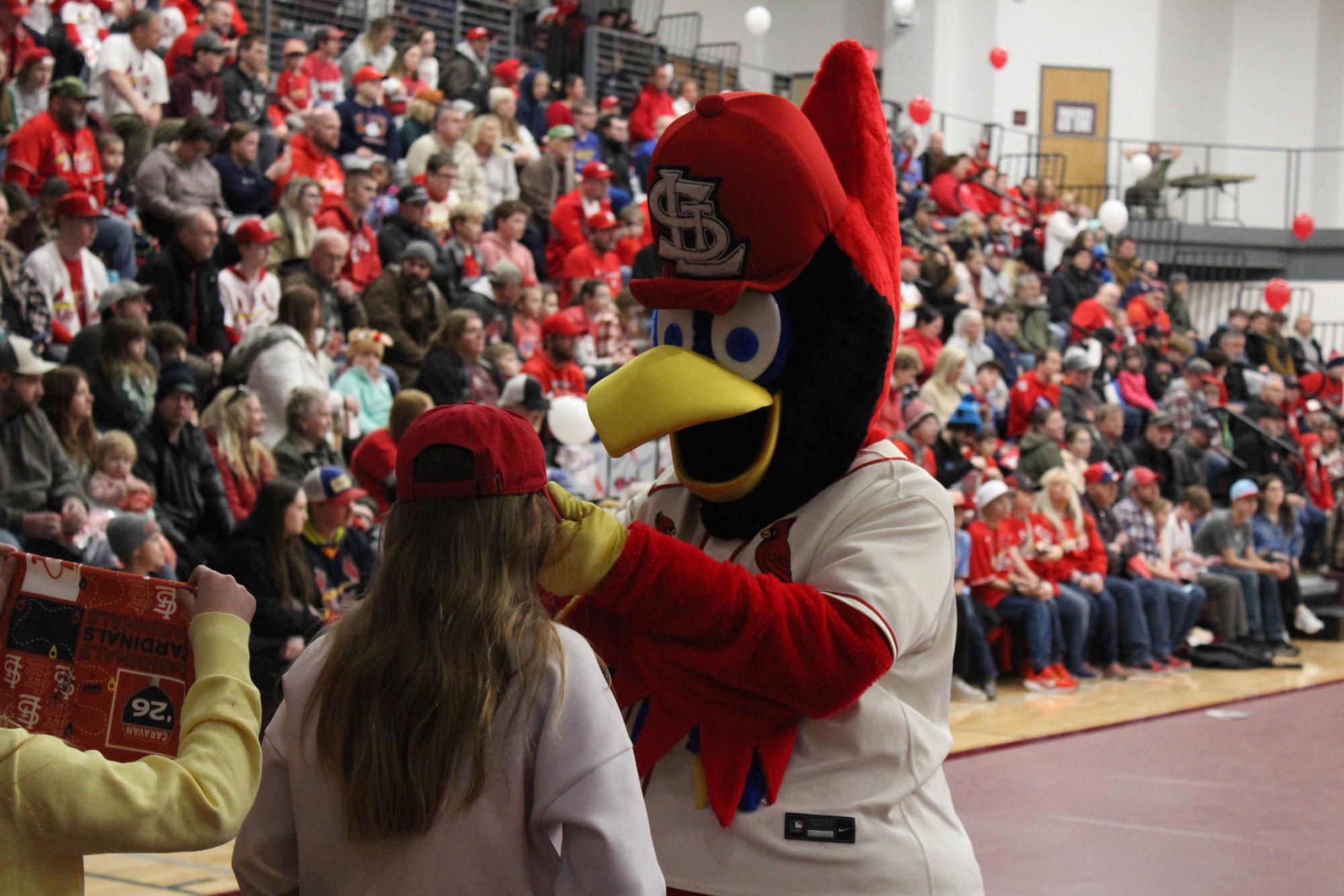 Cardinals Caravan comes to Rolla
