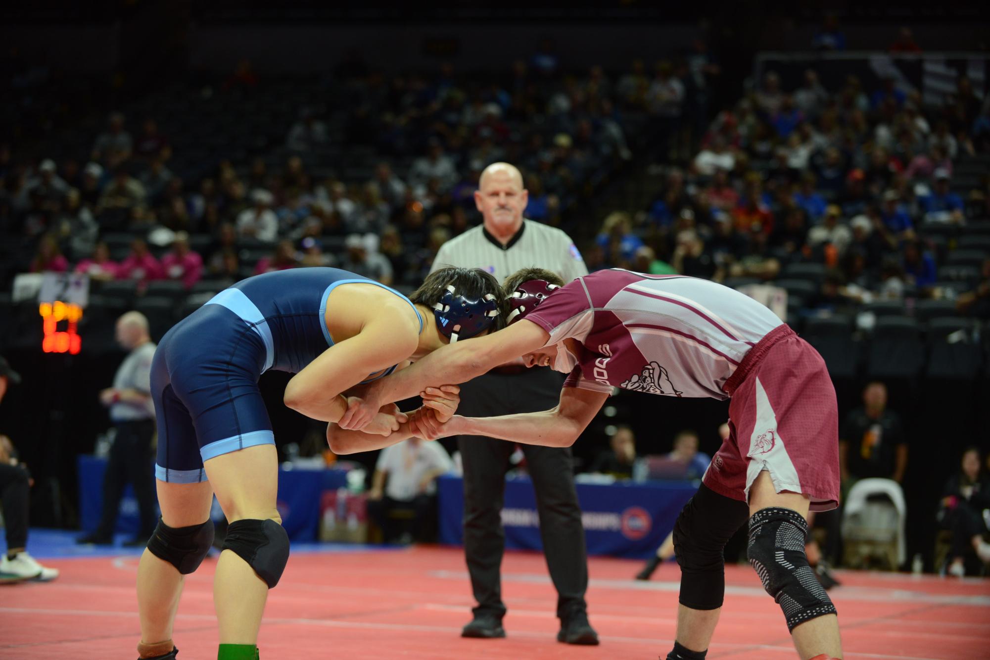 State Wrestling: Photo Gallery