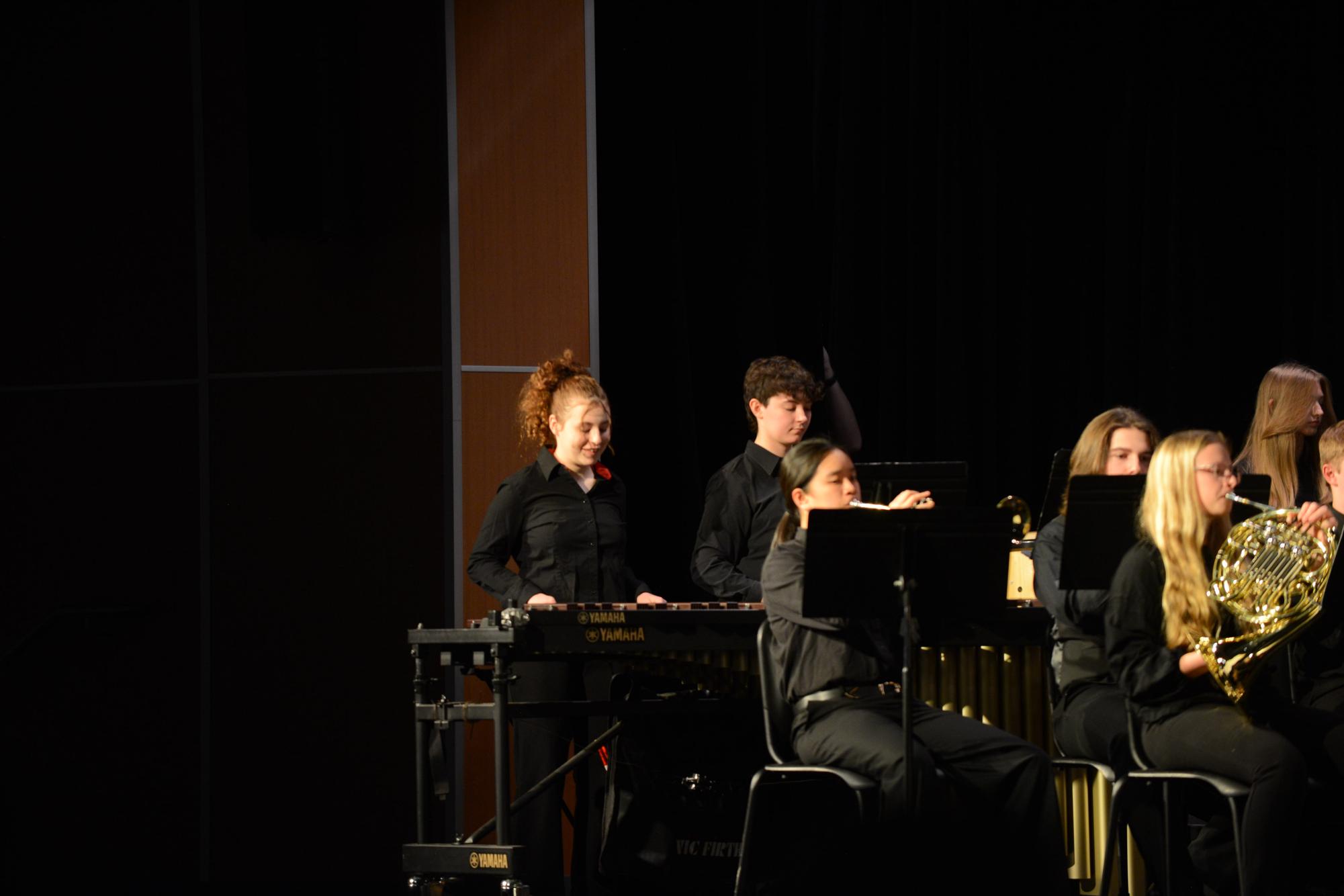 Photo Gallery: March Band Concert
