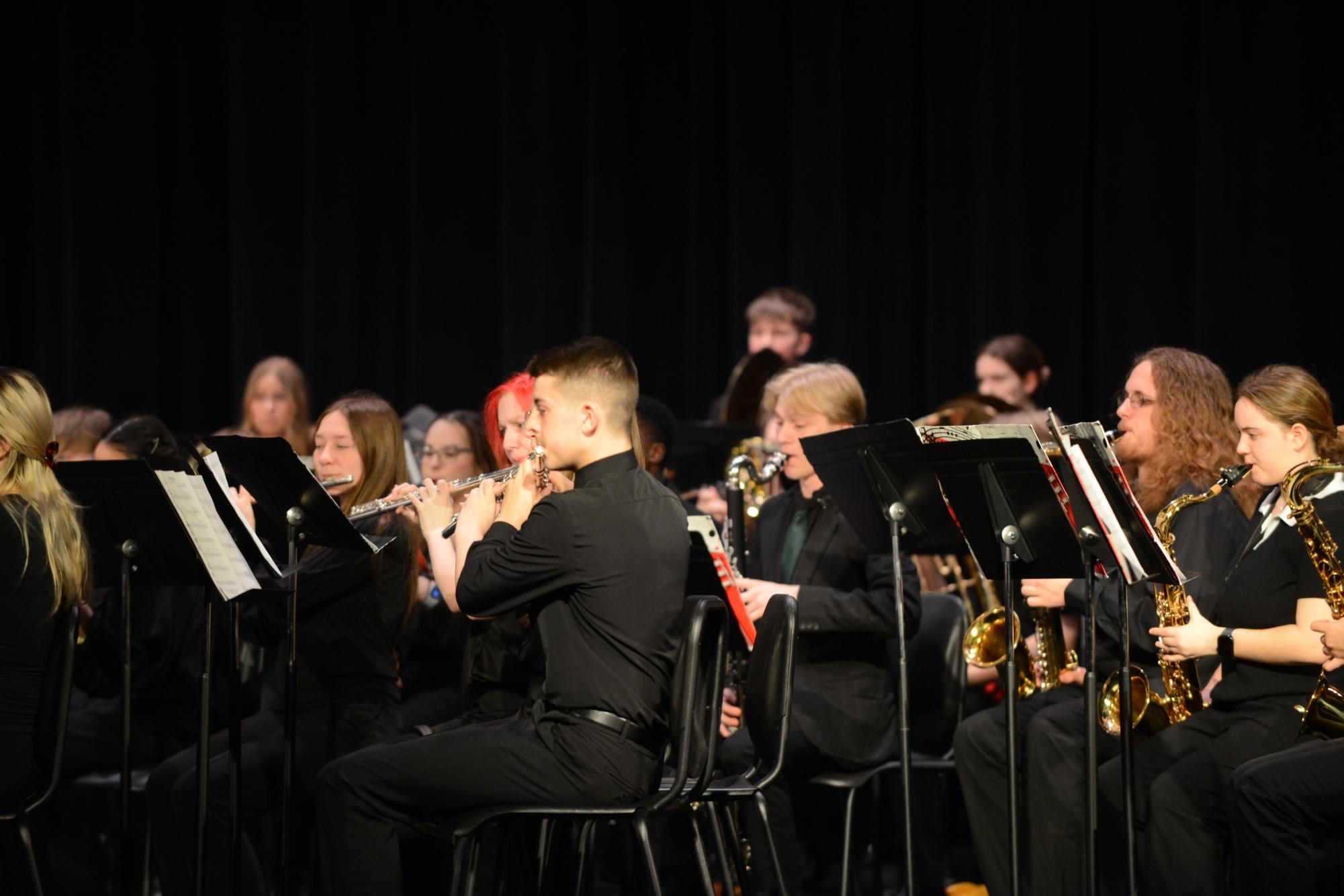 Photo Gallery: March Band Concert