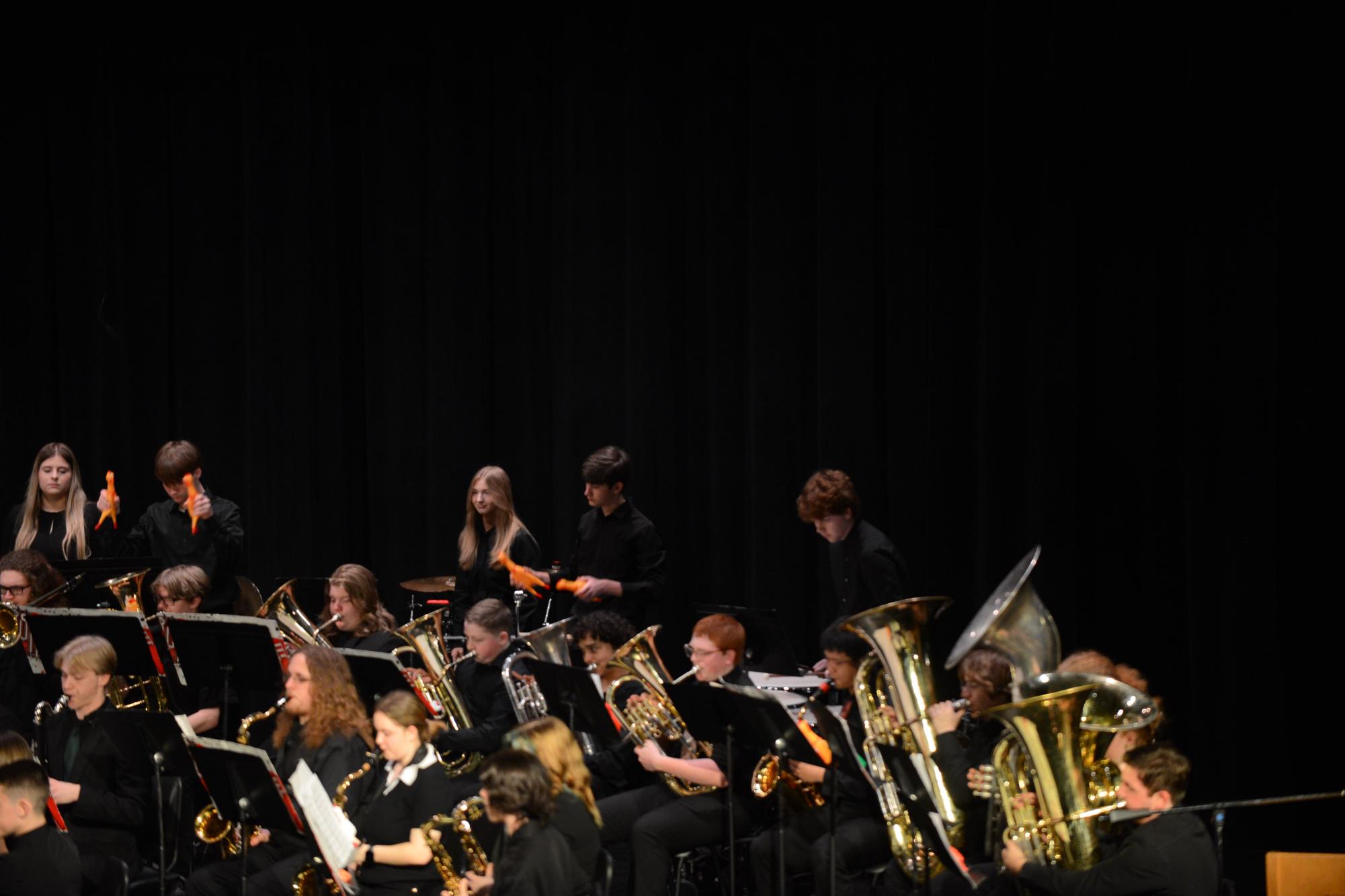 Photo Gallery: March Band Concert