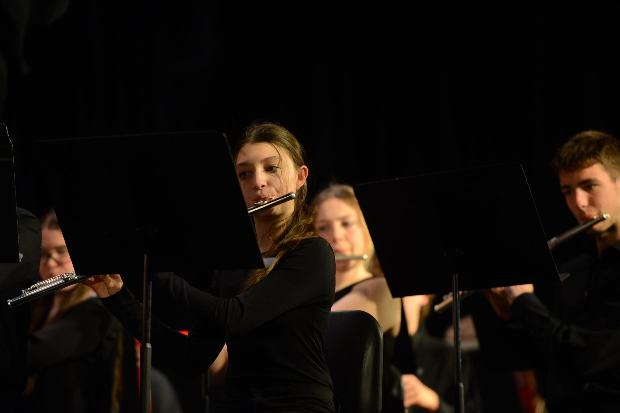 Photo Gallery: March Band Concert