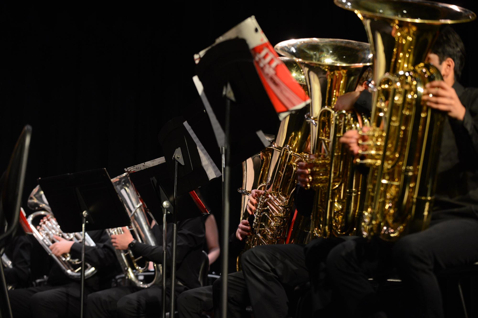 Photo Gallery: March Band Concert