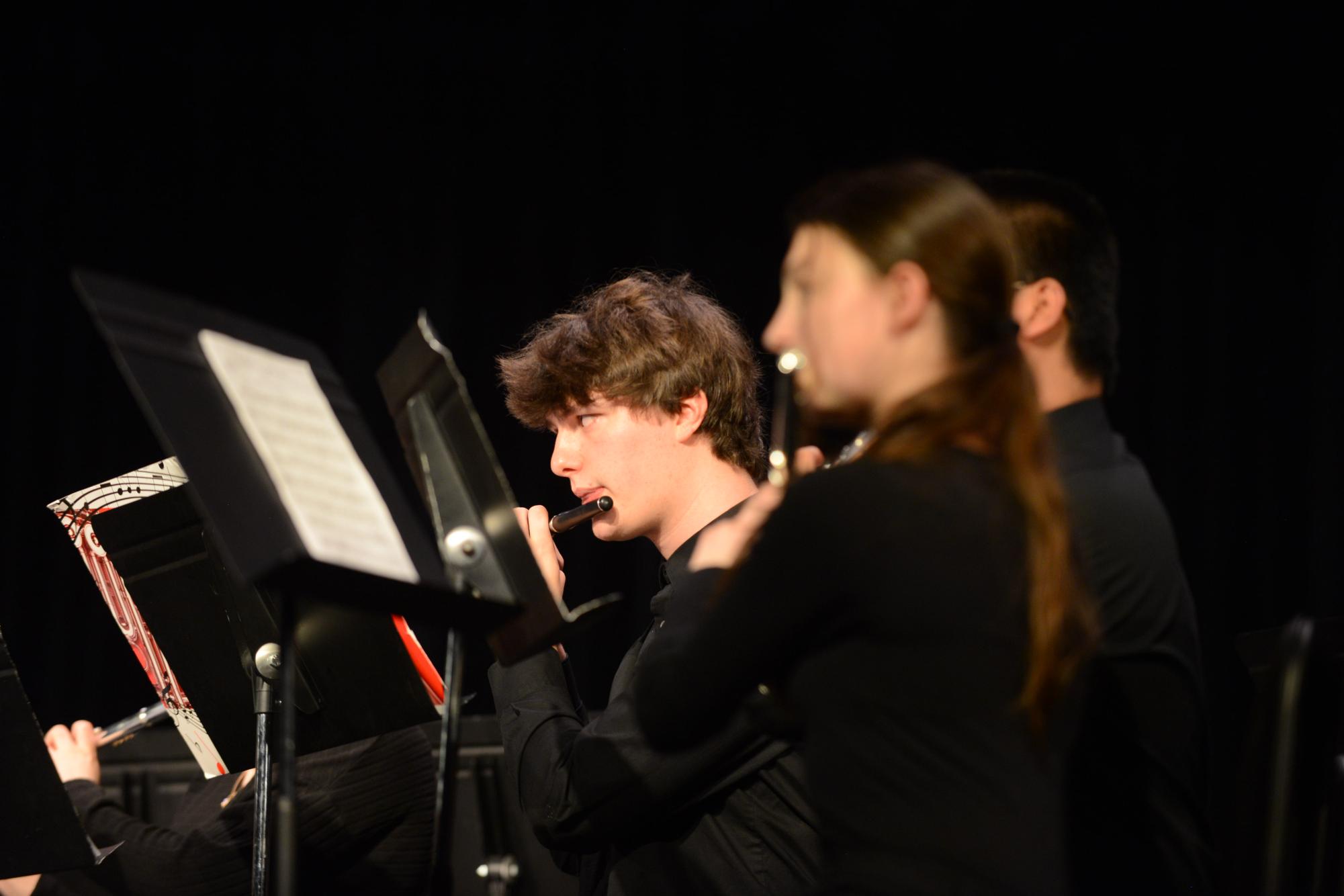 Photo Gallery: March Band Concert