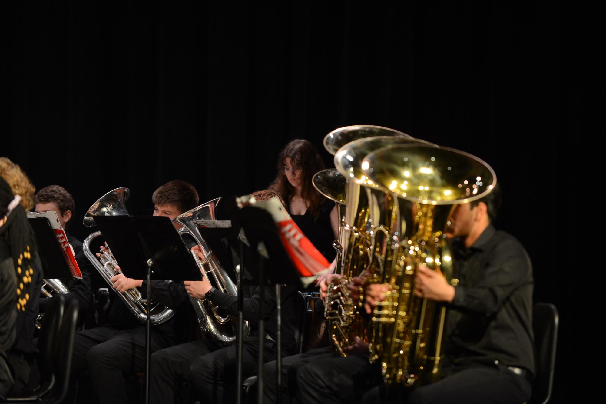 Photo Gallery: March Band Concert
